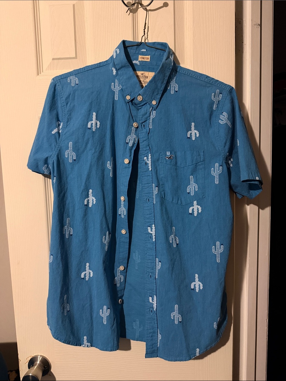Hollister Teal-Blue Short Sleeve Button-Up with White Cactus Print